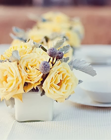 beautiful light yellow roses