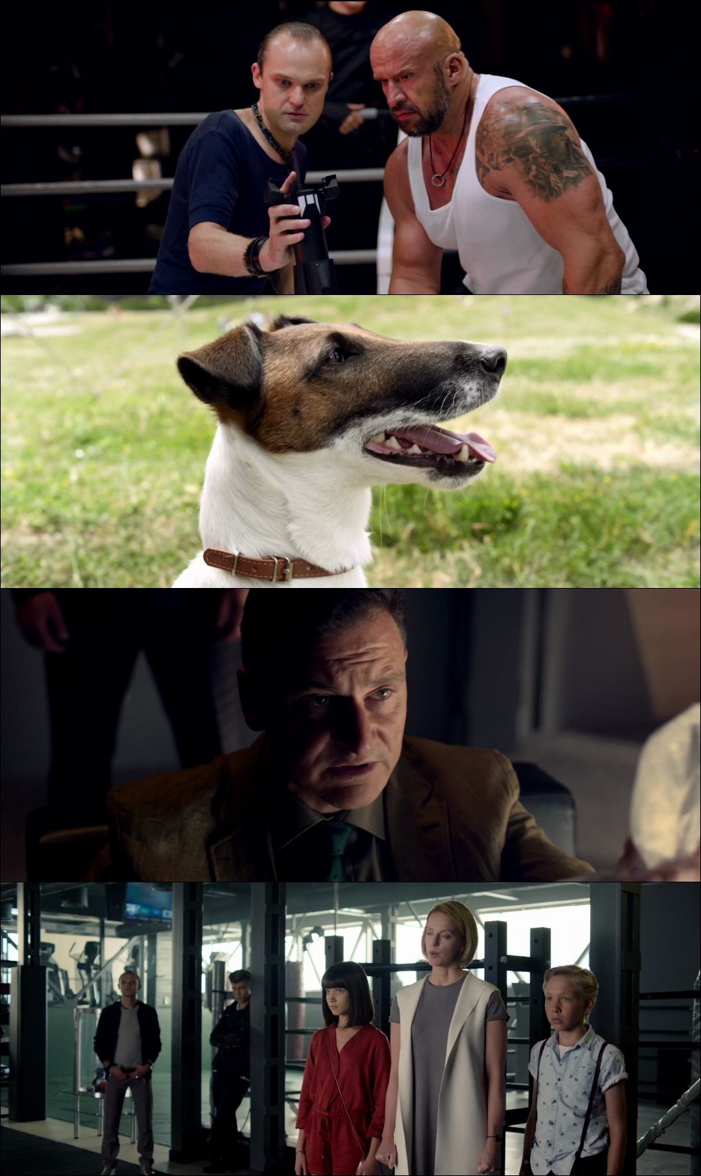 Foxter y Max Un Perro De Otro Mundo (2019) HD 1080p Latino