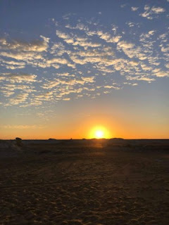 safari white desert