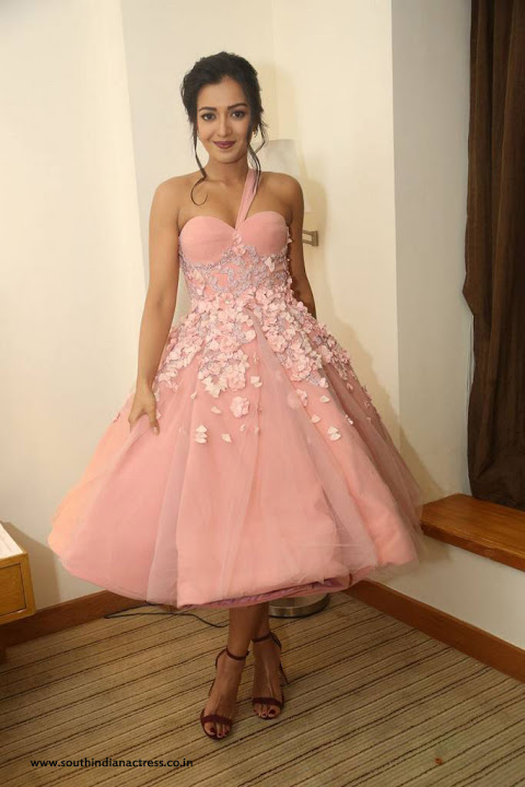 Catherine Tresa Stills At 64th Filmfare Awards 2017