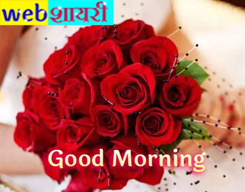 good morning pink rose,good morning pic with love and rose,