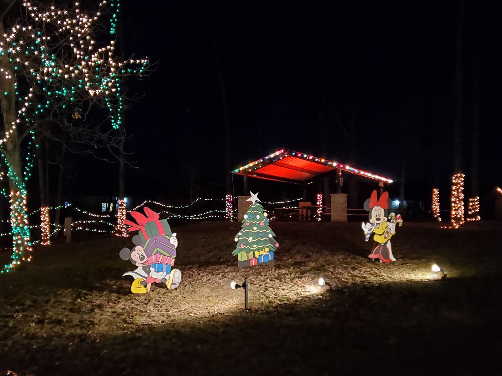 Play St. Louis Celebration of LIghts, Ft. Zumwalt Park, O'Fallon