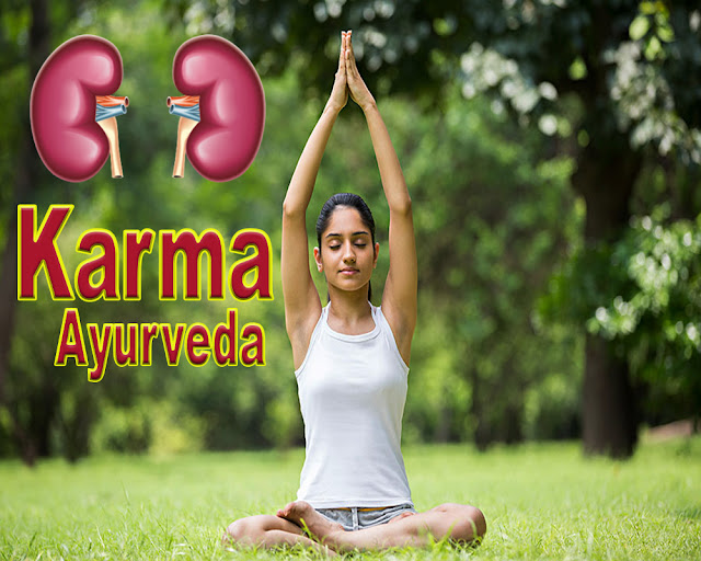 Karma Aayurveda Ayurvedic treatment for kidney patients, Karma