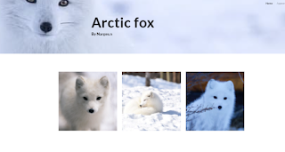 https://sites.google.com/marshland.school.nz/arctic-fox/home