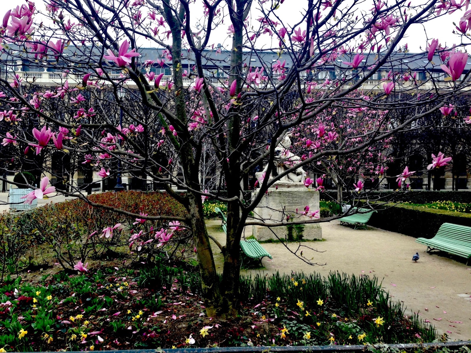 Focus On Paris: Fleurs de mai