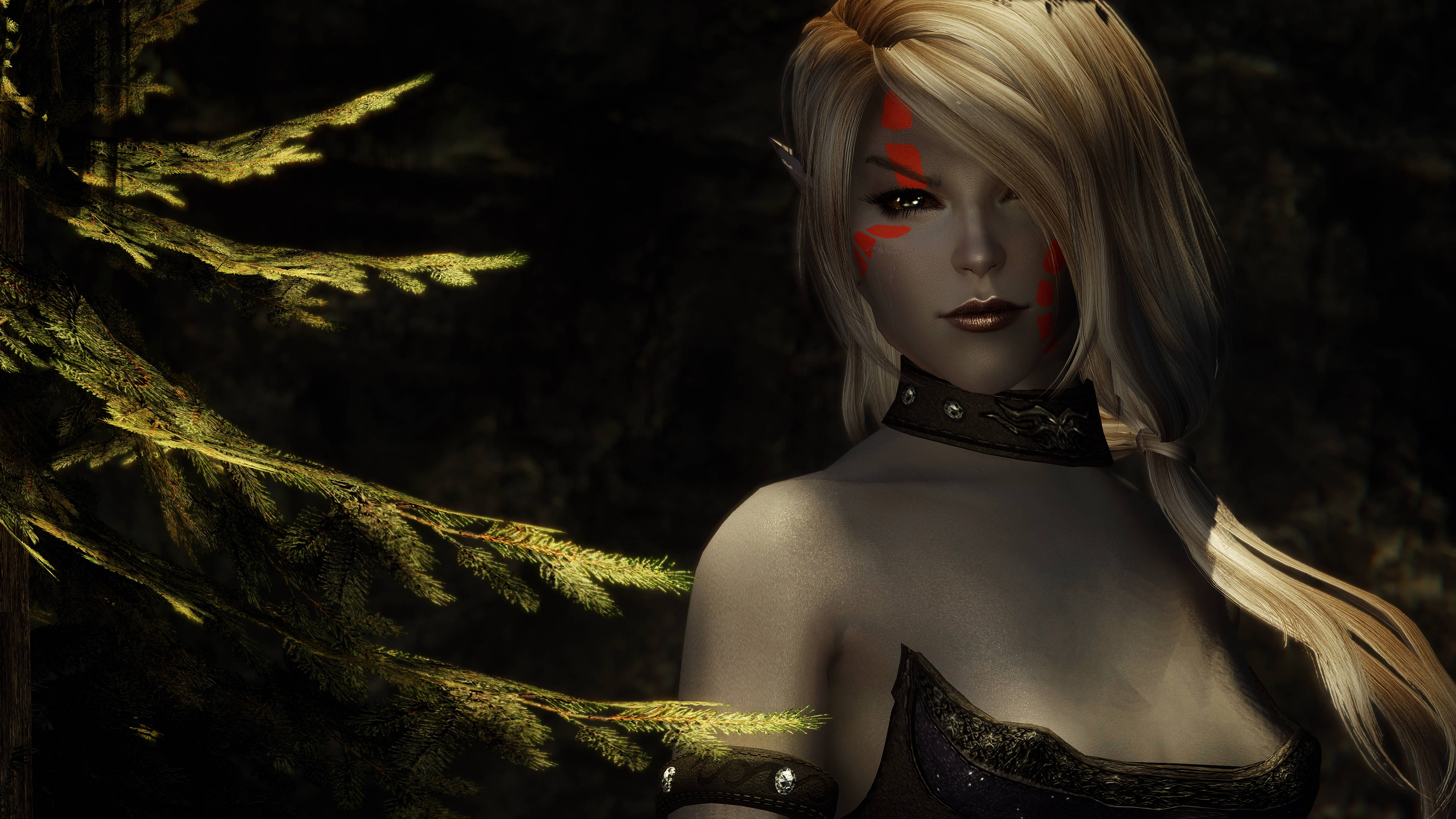 Skyrim RACEMENU presets Elf