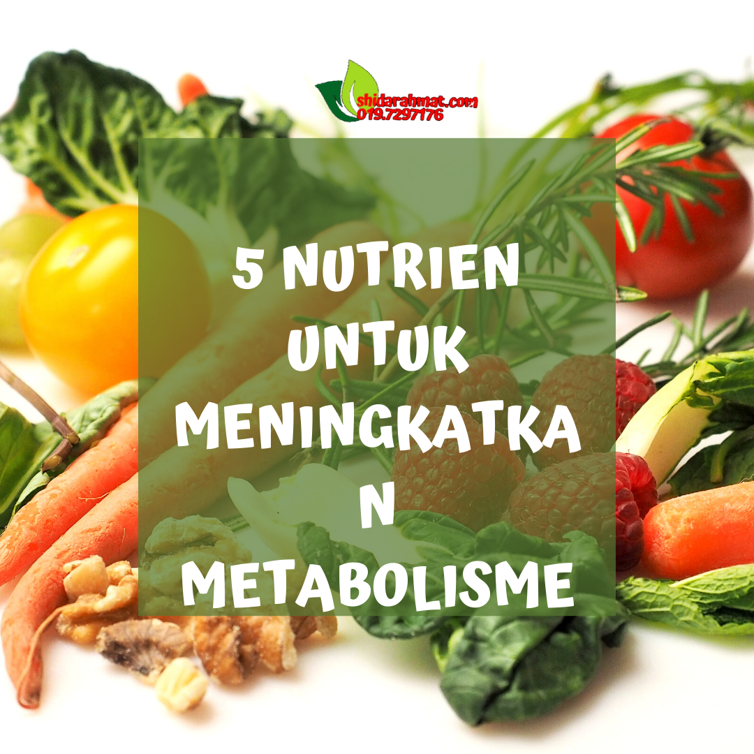 5 Nutrien Untuk Meningkatkan Metabolisme Shidarahmat