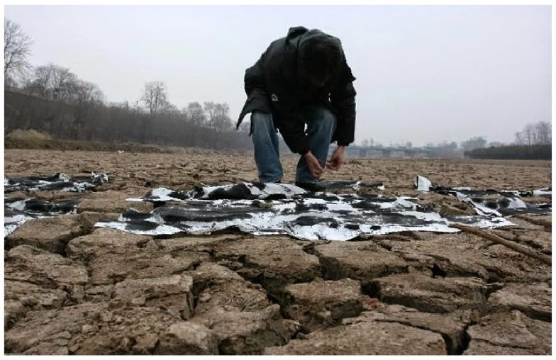Shuengit/Swannjie 周旋捷 Jardin Experimental/Experimental Garden/實驗花園