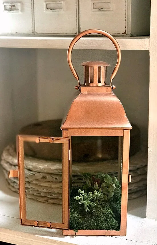 Copper Succulent Lantern Planter