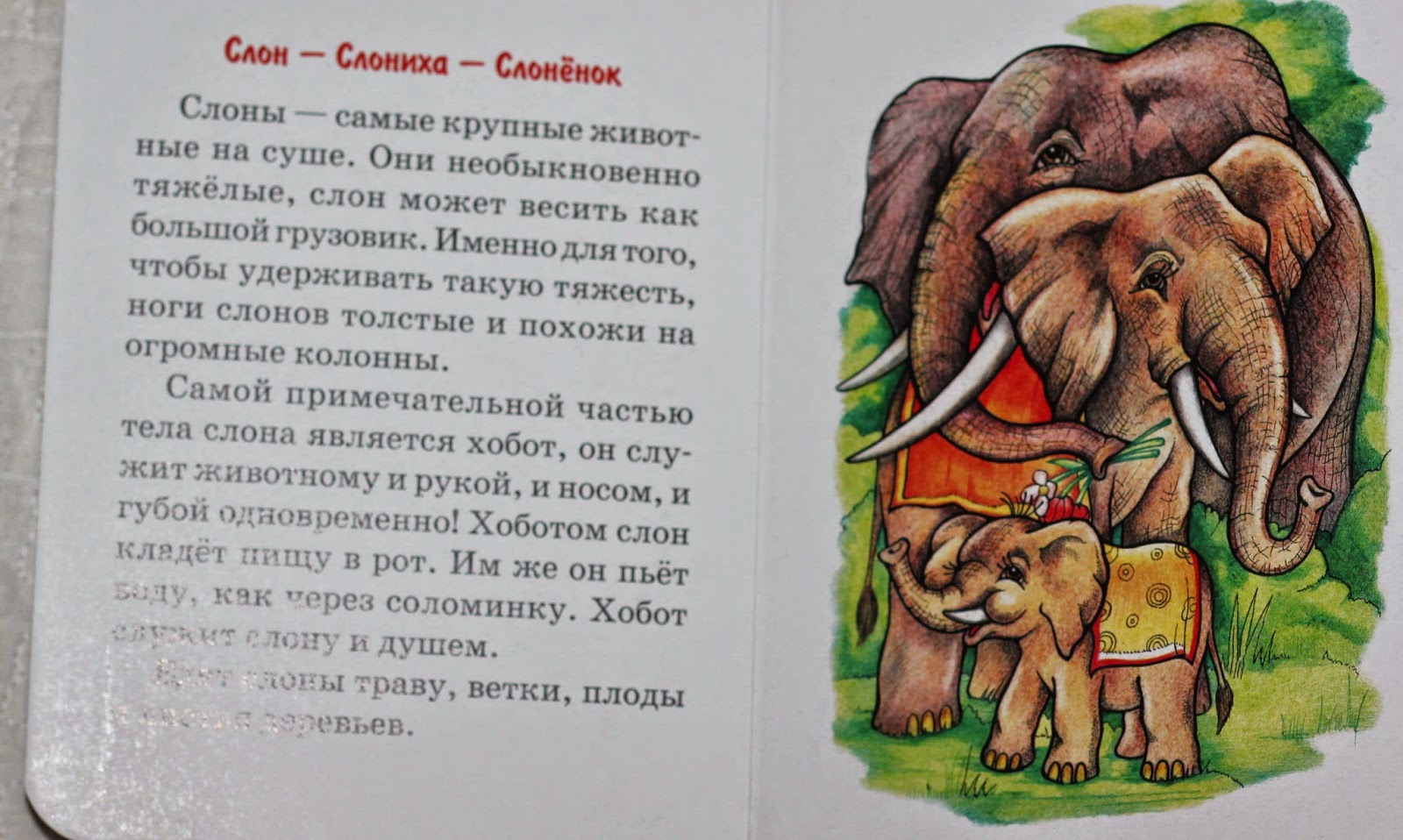 "слон". весёлая сказка про слона. произведение слон куприн. куприн а. слон читать.