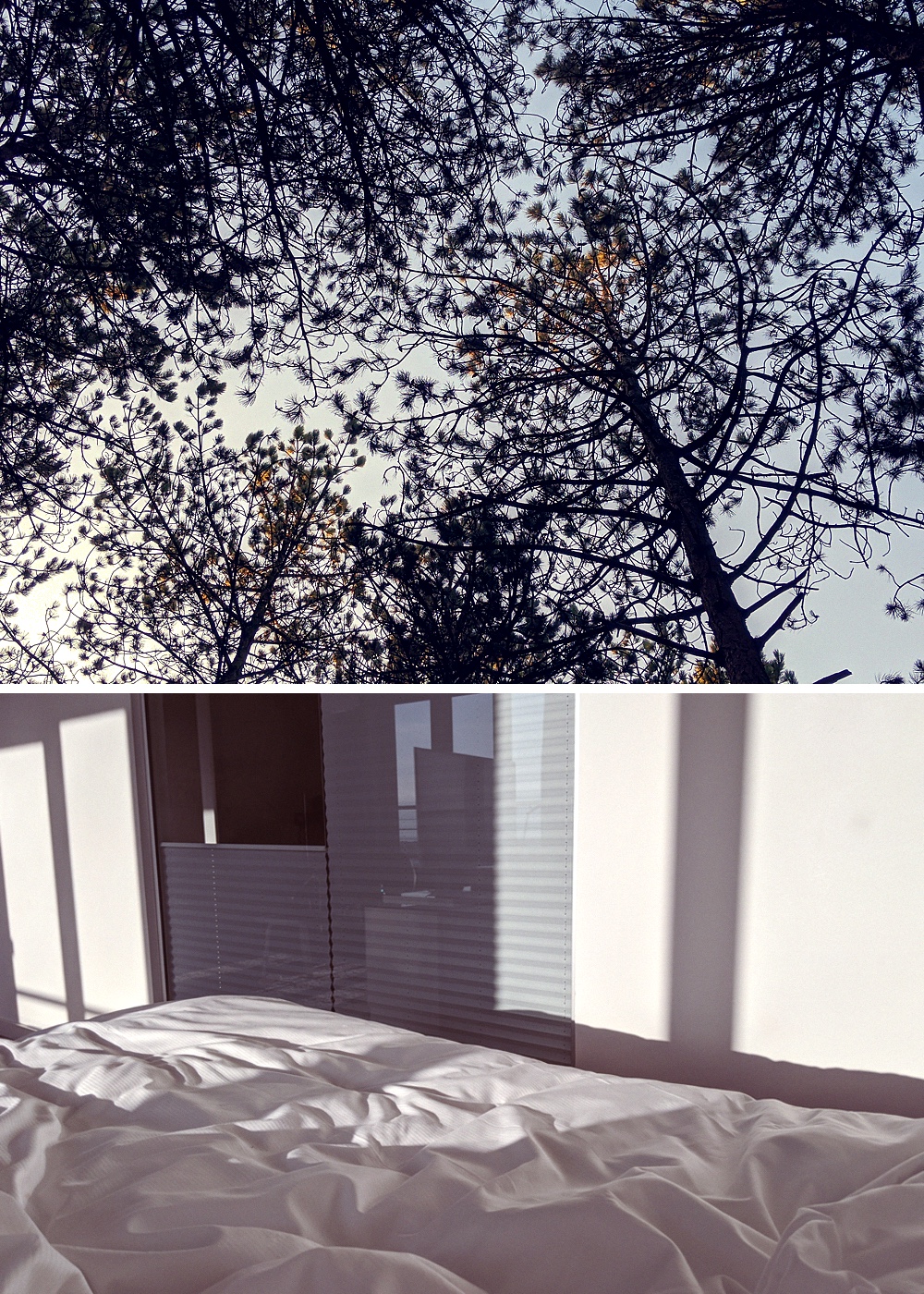 Grune Tonne Hamburg Mulltonne