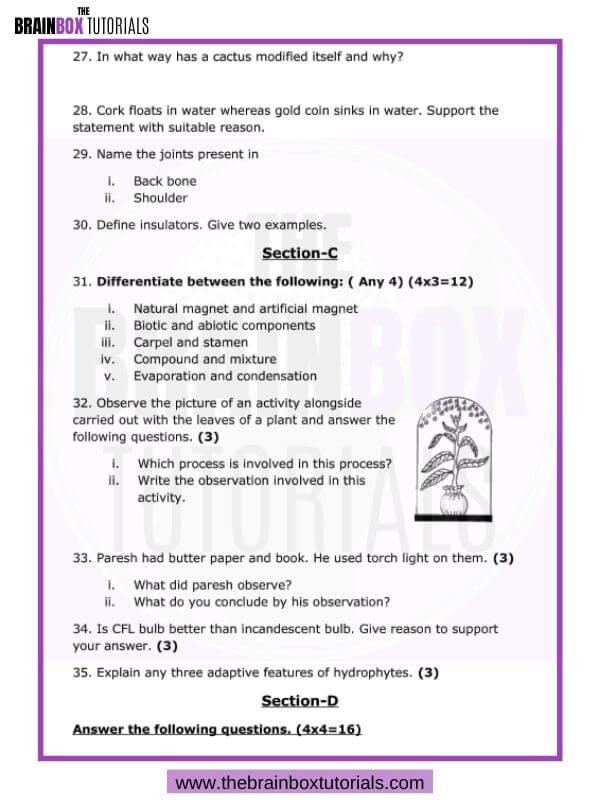cbse-class-6-science-sample-paper