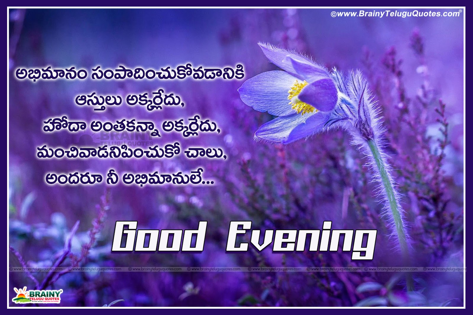 Here is good evening quotes with images for funny good evening quotes telugu