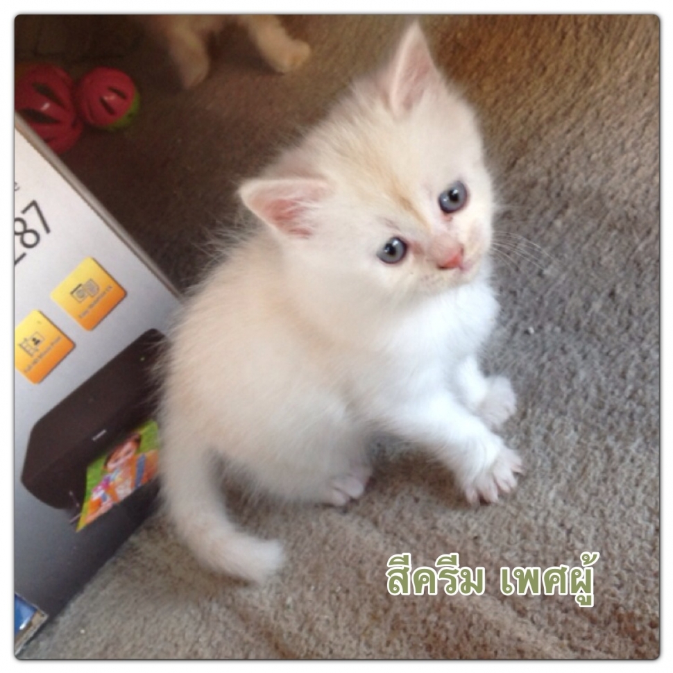My Image 8