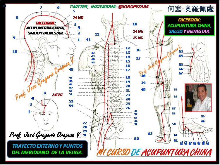 ACUPUNTURA CHINA, SALUD Y BIENESTAR Canal de la Vejiga Taiyang del Pie ACUPUNTURA CHINA, SALUD Y BIENESTAR Canal de la Vejiga Taiyang del Pie