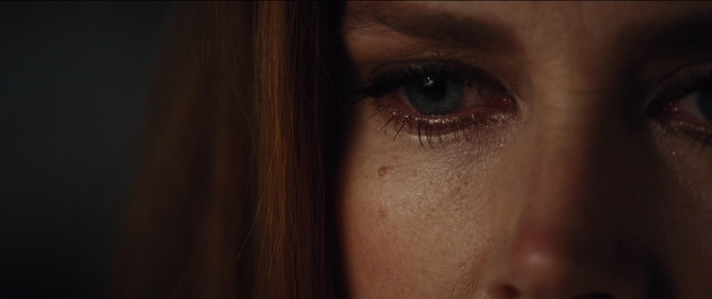 opening scene of nocturnal animals