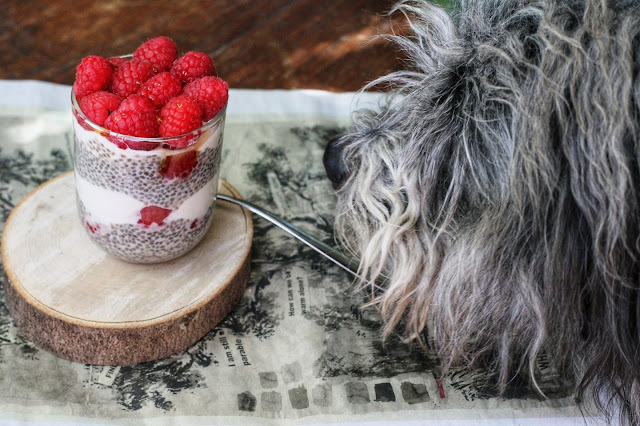 Vanilla Chia Pudding with Raspberries