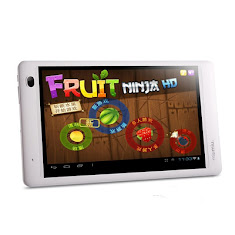 Ramos W17 Pro Dual Core Android Tablet