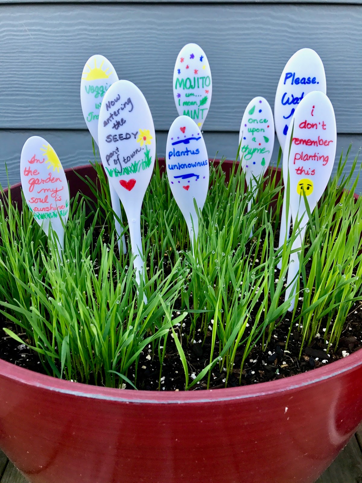 Plant Markers for Your Garden Our Good Life