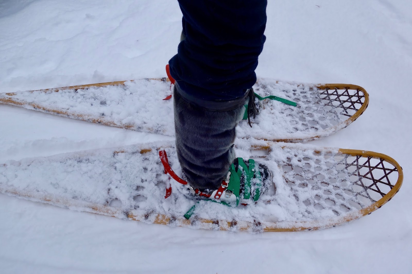 old school snow shoes