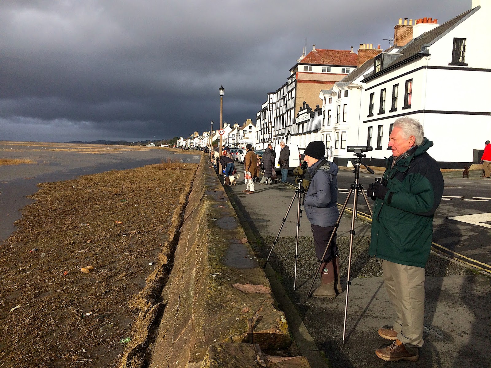 GeekTeacher's Birding Scrapbook: High Tide at Parkgate on the Wirral
