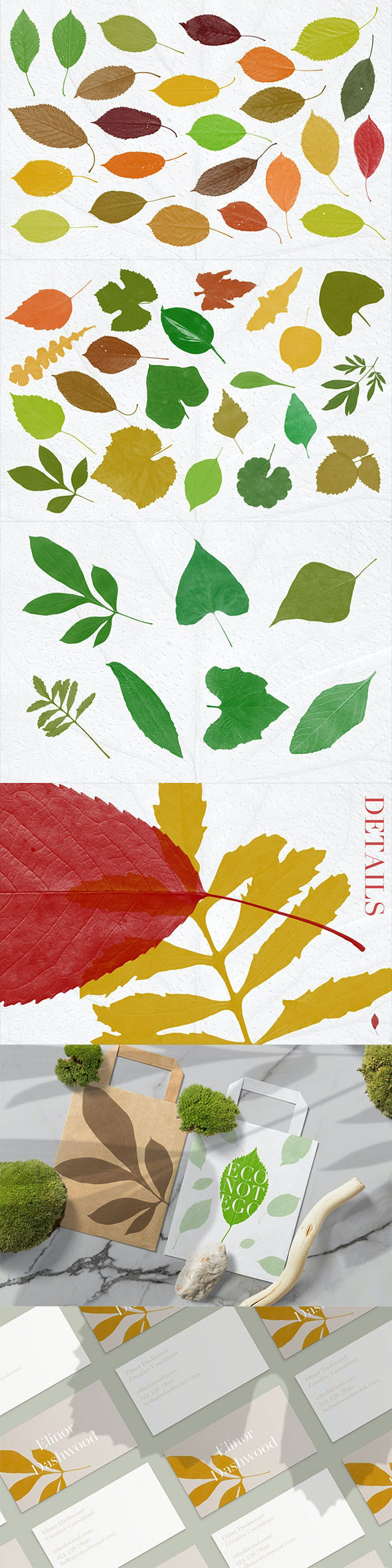 52 Leaves Photoshop Stamp Brushes 27969587 2 GraphicRiver 52 Leaves Photoshop Stamp Brushes 27969587 Free Download
