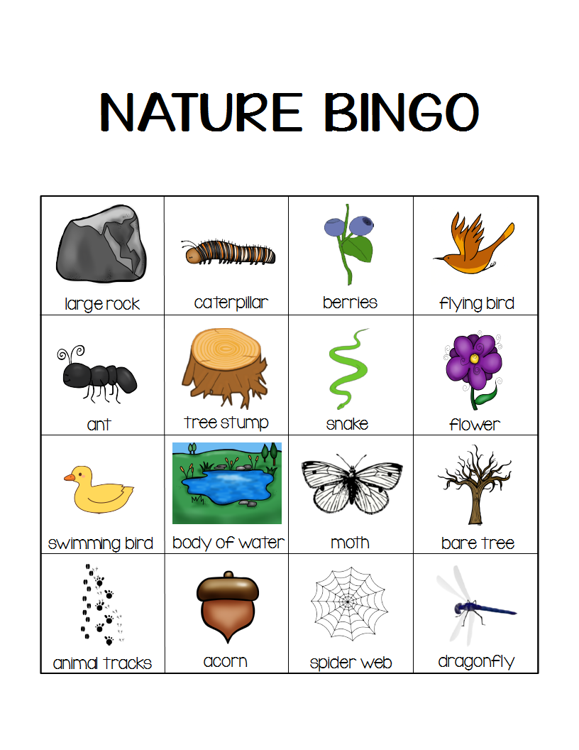 nature-hunt-bingo
