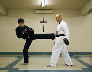 Shohei Ryu Techniques