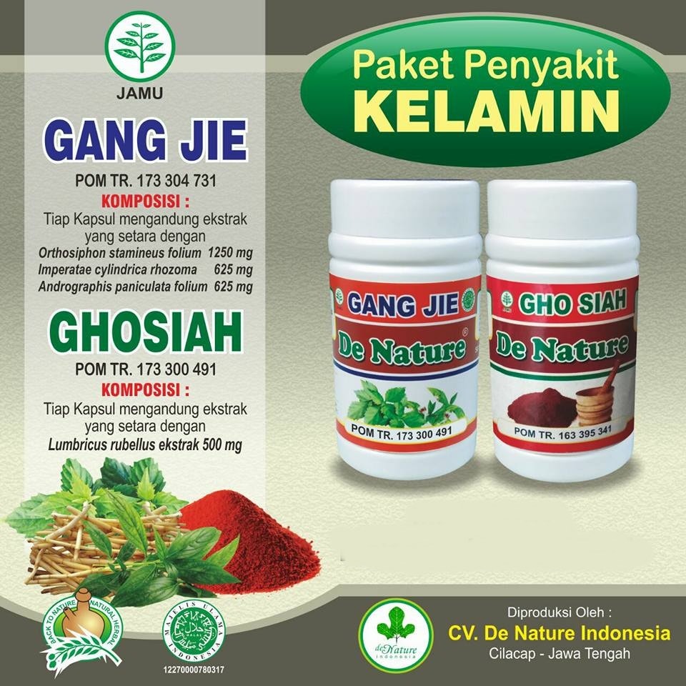 https://alyherbal.blogspot.com/2015/07/obat-kencing-nanah-ciprofloxacin-dan-Azithromycin.html