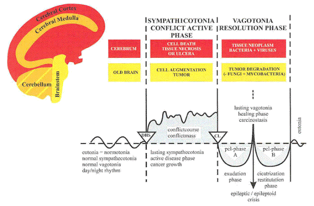 diagram2.gif
