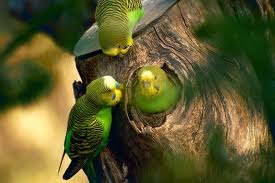 ��� ���� ����� ���� 6/30 