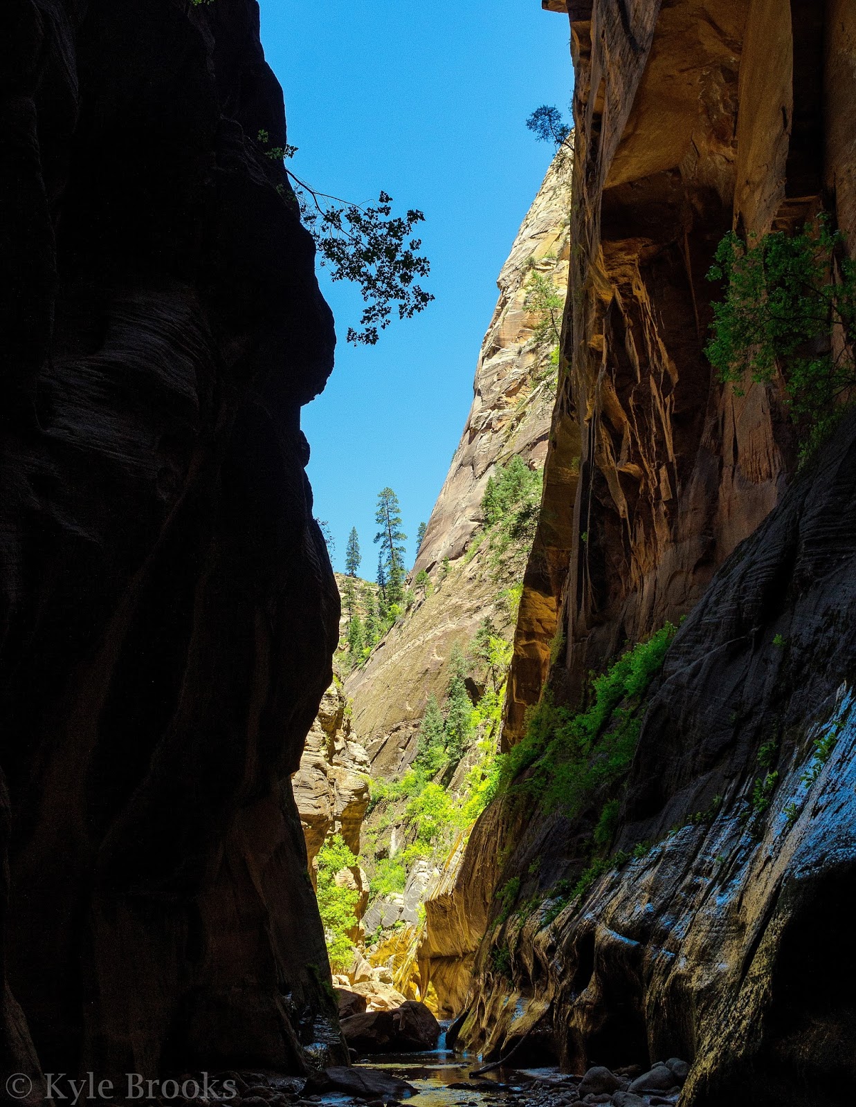 Orderville Canyon Zion 