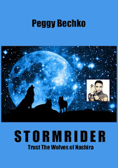 Stormrider Now Also In Paperback