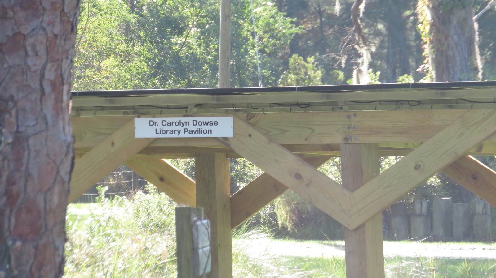 Hog Hammock Public Library