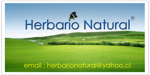 Herbario Natural
