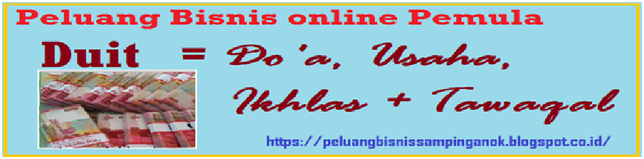 Peluang Bisnis Online Pemula