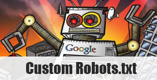 custom robots.txt