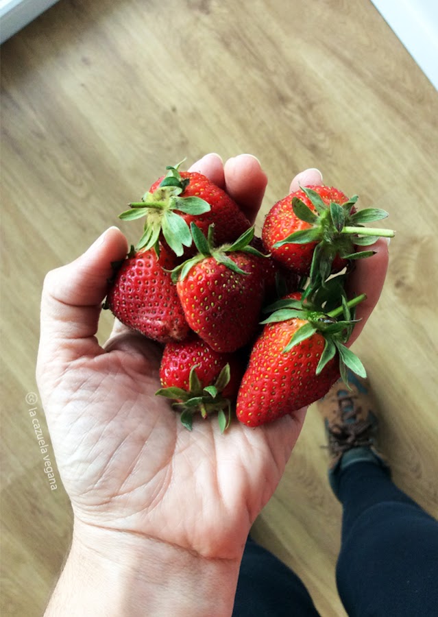 Batido vegano de fresas, coco y vainilla (Merienda saludable)