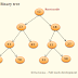 Find size of binary tree in Java - Iterative and recursive 