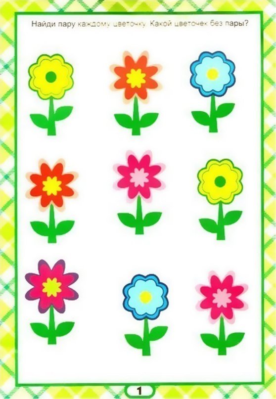 Найди пару март. Цветы задания для детей. Цветы задания для дошкольников. Цветы задания для малышей. Развивающее занятие цветы.