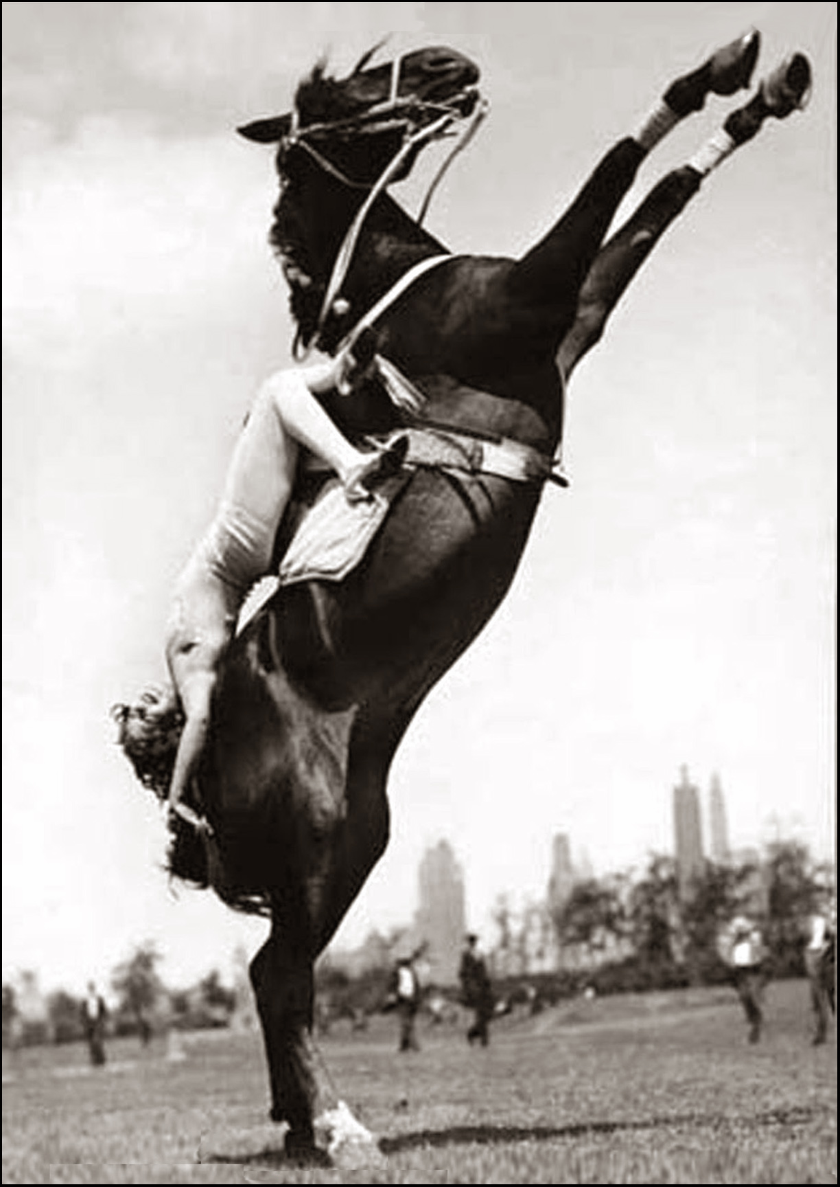 Buckles Blog HIND LEGS 3