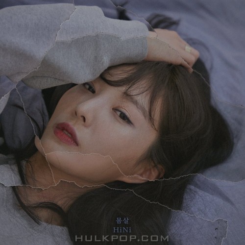 HiNi – 몸살 – Single