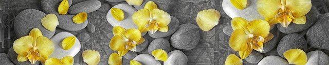  Скинали желтые орхидеи на камнях