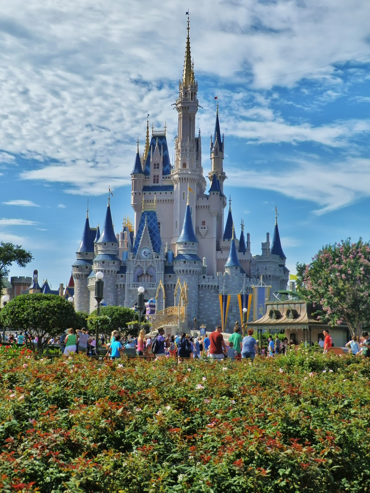 Disney Vacation Kingdom: A Fairy Tale Castle