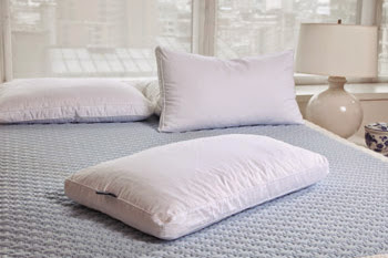 Pure Bliss Vs. Danican Latex Pillows.