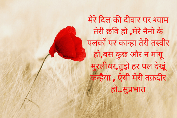 Happy Mothers Day 2023 Wishes Hindi Messages Quotes Images SMS Shayari  Poems Hindi Status Mothers Day 2023 Wishes Gif Greetings Cards  Photos Instagram Facebook And Whatsapp Status Whatsapp Stickers To  Spread Love