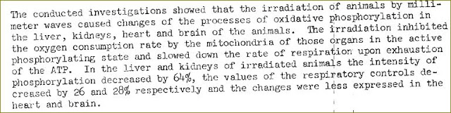 1977+bioeffects+study+animals.JPG