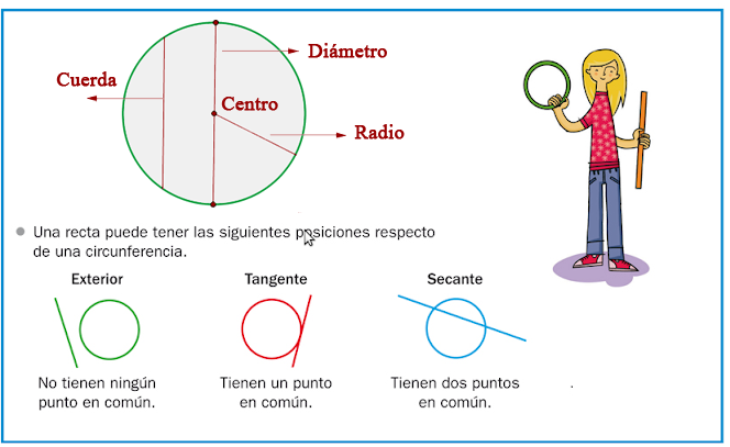Elementos de una circunferencia ~ #SomosClase