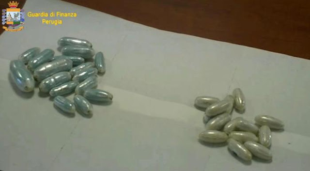 — الشرطة الايطالية تفكك عصابة اجرامية بينها تونسيين