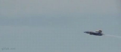tumblr_o4tgxd33Ly1t95h1uo1_500.gif